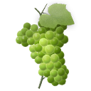 icon grapes green