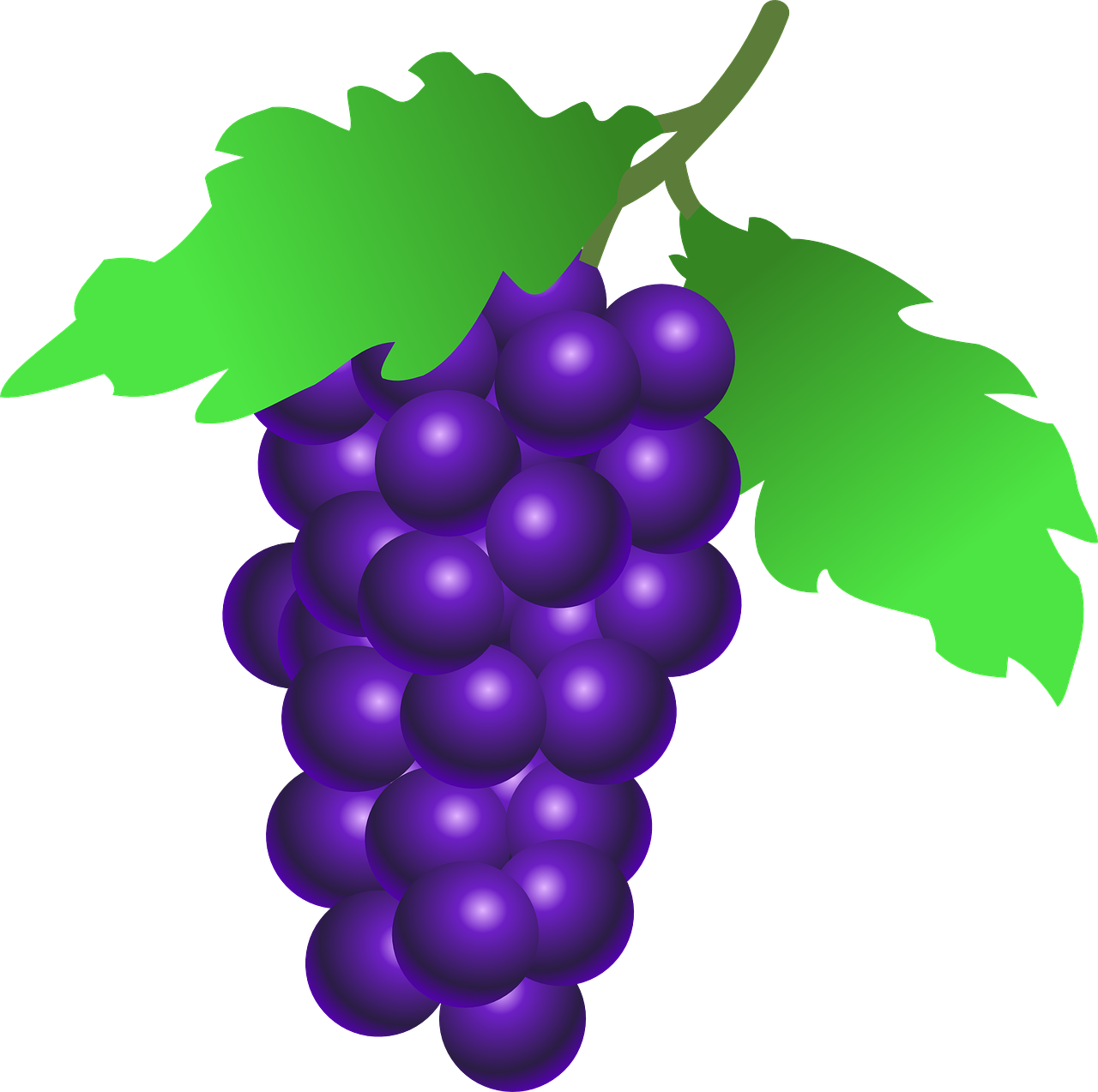 icon grapes red